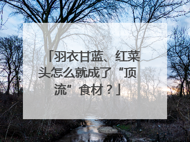 羽衣甘蓝、红菜头怎么就成了“顶流”食材？