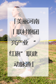 美丽河南丨联村抱团兴产业 “红旗”联建动脉通