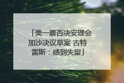 美一票否决安理会加沙决议草案 古特雷斯：感到失望