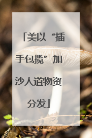 美以“插手包揽”加沙人道物资分发