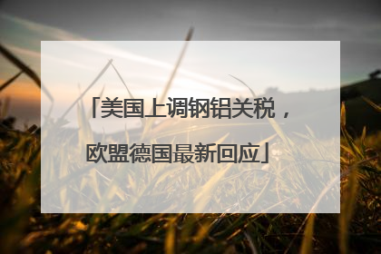 美国上调钢铝关税，欧盟德国最新回应