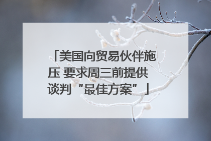 美国向贸易伙伴施压 要求周三前提供谈判“最佳方案”
