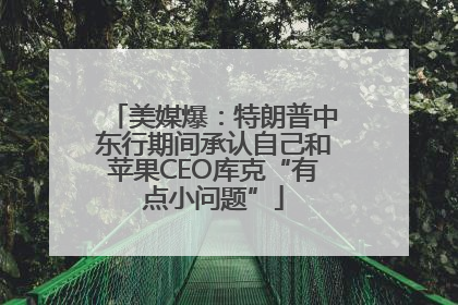 美媒爆：特朗普中东行期间承认自己和苹果CEO库克“有点小问题”