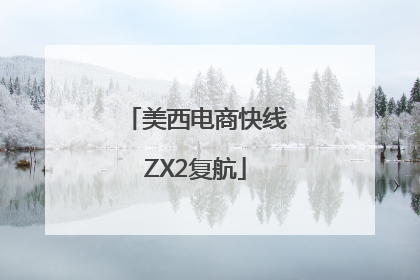 美西电商快线ZX2复航