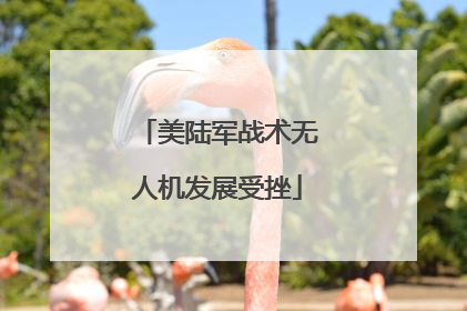 美陆军战术无人机发展受挫