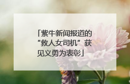 紫牛新闻报道的“救人女司机”获见义勇为表彰
