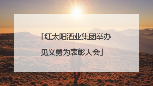 红太阳酒业集团举办见义勇为表彰大会