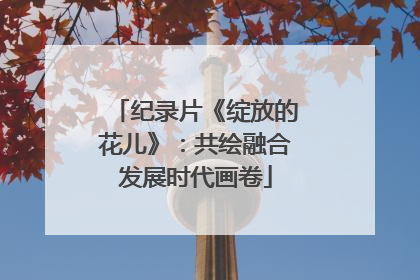 纪录片《绽放的花儿》：共绘融合发展时代画卷