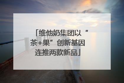 维他奶集团以“茶+果”创新基因连推两款新品