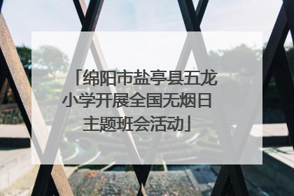 绵阳市盐亭县五龙小学开展全国无烟日主题班会活动