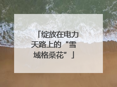 绽放在电力天路上的“雪域格桑花”