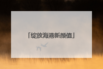 绽放海港新颜值