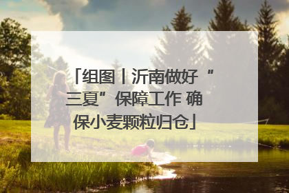 组图丨沂南做好“三夏”保障工作 确保小麦颗粒归仓