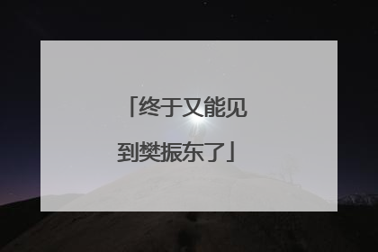 终于又能见到樊振东了