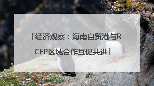 经济观察：海南自贸港与RCEP区域合作互促共进