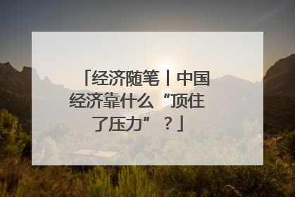 经济随笔丨中国经济靠什么“顶住了压力”？