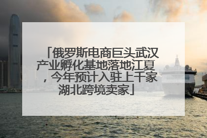 俄罗斯电商巨头武汉产业孵化基地落地江夏，今年预计入驻上千家湖北跨境卖家