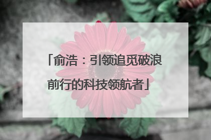 俞浩：引领追觅破浪前行的科技领航者