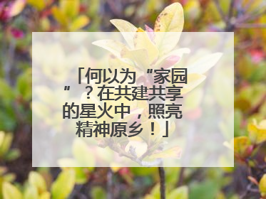 何以为“家园”？在共建共享的星火中，照亮精神原乡！