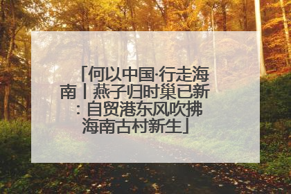 何以中国·行走海南丨燕子归时巢已新：自贸港东风吹拂 海南古村新生
