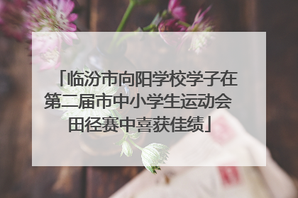 临汾市向阳学校学子在第二届市中小学生运动会田径赛中喜获佳绩