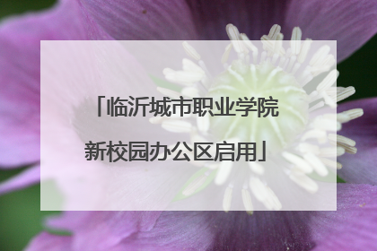 临沂城市职业学院新校园办公区启用