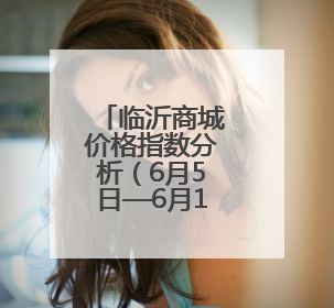 临沂商城价格指数分析（6月5日—6月11日）