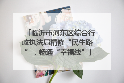 临沂市河东区综合行政执法局精修“民生路”，畅通“幸福线”