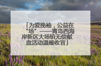 为爱挽袖，公益在“场”——青岛西海岸新区大场镇无偿献血活动温暖收官
