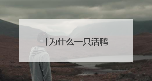 为什么一只活鸭上百元，一只烤鸭只要25元？