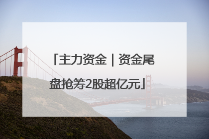 主力资金｜资金尾盘抢筹2股超亿元