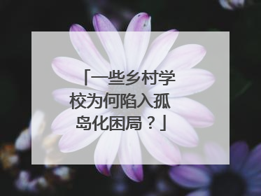 一些乡村学校为何陷入孤岛化困局？