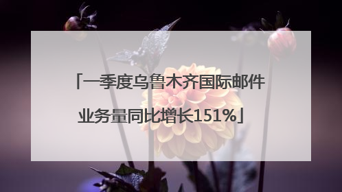 一季度乌鲁木齐国际邮件业务量同比增长151%