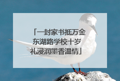 一封家书抵万金 东湖路学校十岁礼浸润墨香温情