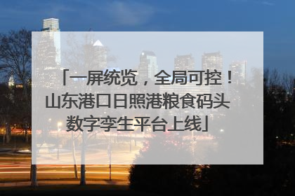 一屏统览，全局可控！山东港口日照港粮食码头数字孪生平台上线