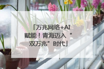 万兆网络+AI赋能！青海迈入“双万兆”时代