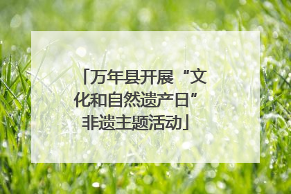 万年县开展“文化和自然遗产日”非遗主题活动