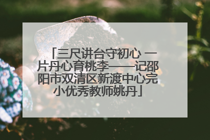 三尺讲台守初心 一片丹心育桃李——记邵阳市双清区新渡中心完小优秀教师姚丹