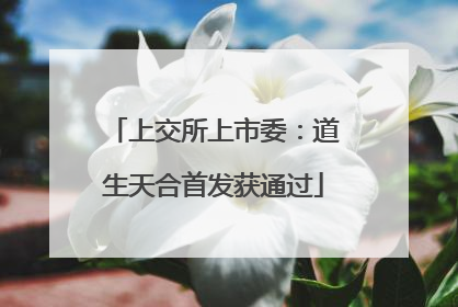 上交所上市委：道生天合首发获通过