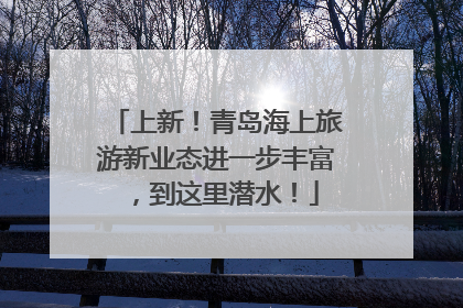 上新！青岛海上旅游新业态进一步丰富，到这里潜水！