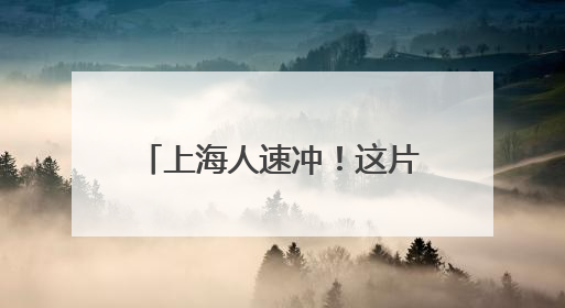上海人速冲！这片“新娘捧花”阶梯藏不住了，近5万株绣球花如梦似幻