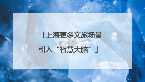 上海更多文旅场景引入“智慧大脑”