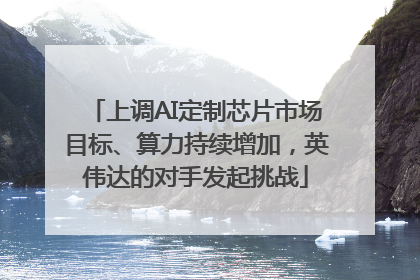 上调AI定制芯片市场目标、算力持续增加，英伟达的对手发起挑战