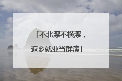 不北漂不横漂，返乡就业当群演