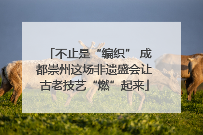 不止是“编织” 成都崇州这场非遗盛会让古老技艺“燃”起来