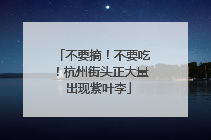 不要摘！不要吃！杭州街头正大量出现紫叶李