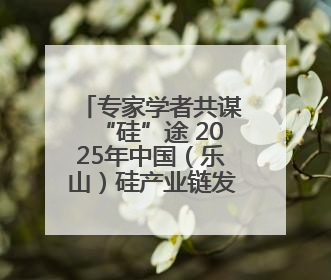 专家学者共谋“硅”途 2025年中国（乐山）硅产业链发展大会开幕