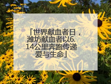 世界献血者日，潍坊献血者以6.14公里奔跑传递爱与生命
