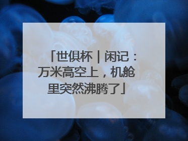 世俱杯｜闲记：万米高空上，机舱里突然沸腾了