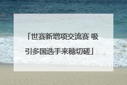 世赛新增项交流赛 吸引多国选手来穗切磋